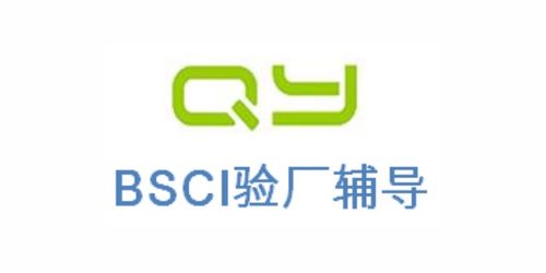 ICS驗廠2021全面解讀與上海傾禹企業(yè)管理咨詢的專業(yè)服務推薦